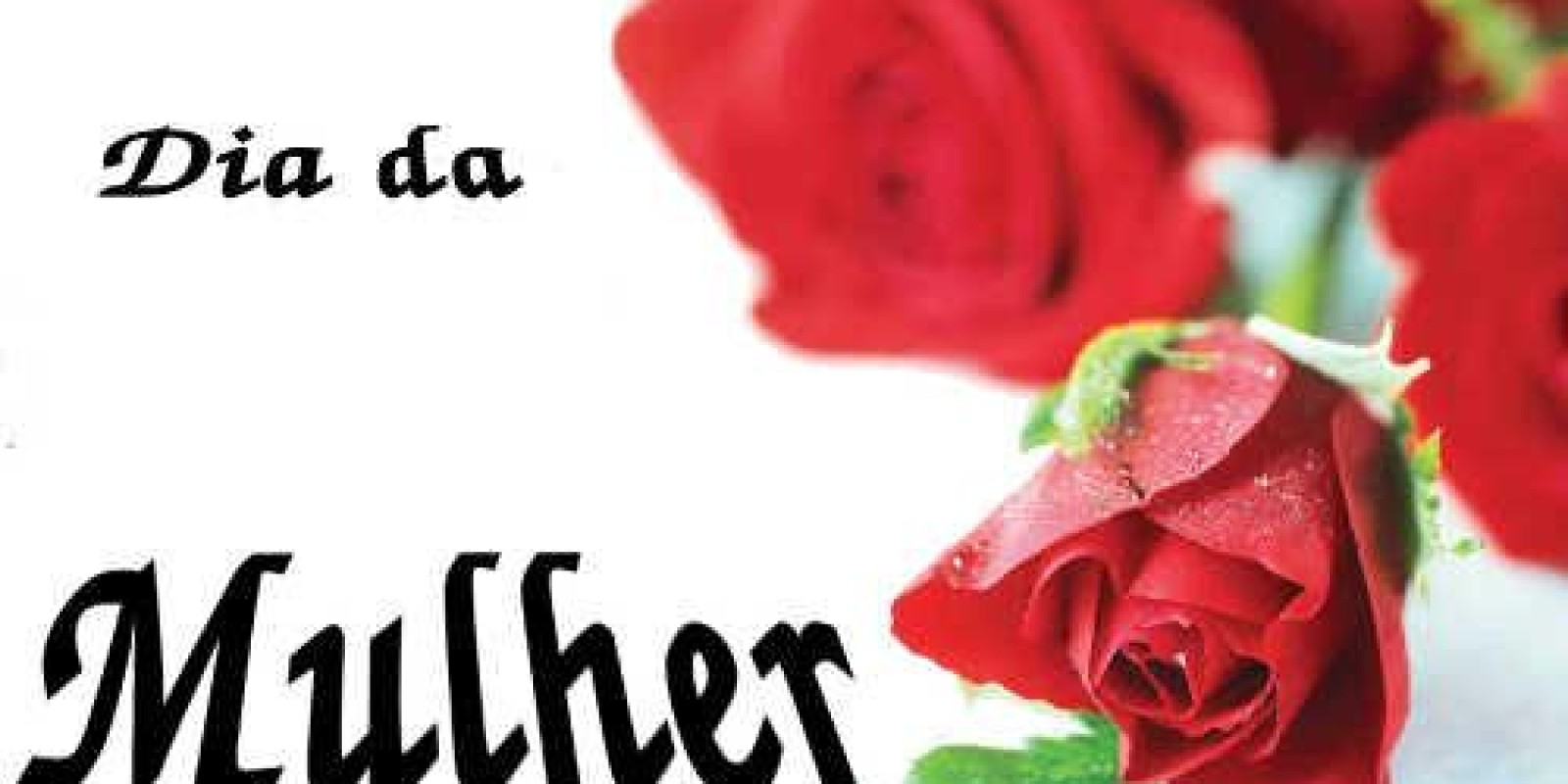 08 de Março: Dia Internacional da Mulher