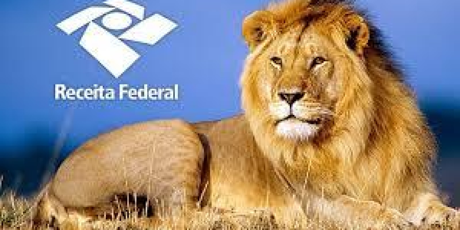 Bancários terão isenção ou pagamento menor de imposto de renda sobre a PLR Bancários terão isenção ou pagamento menor de imposto de renda sobre a PLR